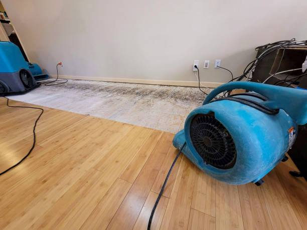 Reliable Basement Flood Cleanup contractor in Brentwood, CA by Hirex Water Damage