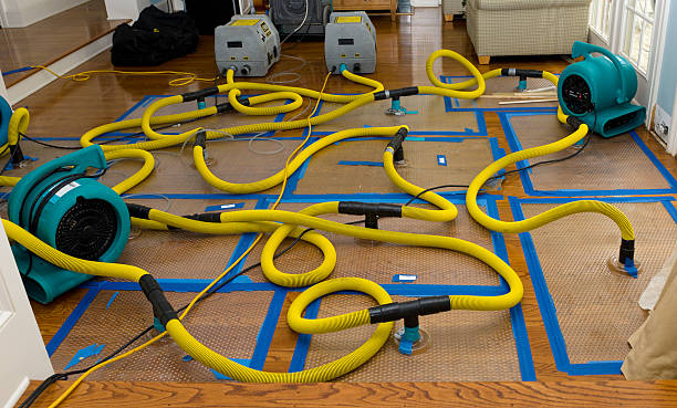 Professional Basement Flood Cleanup technician working in Brentwood, CA